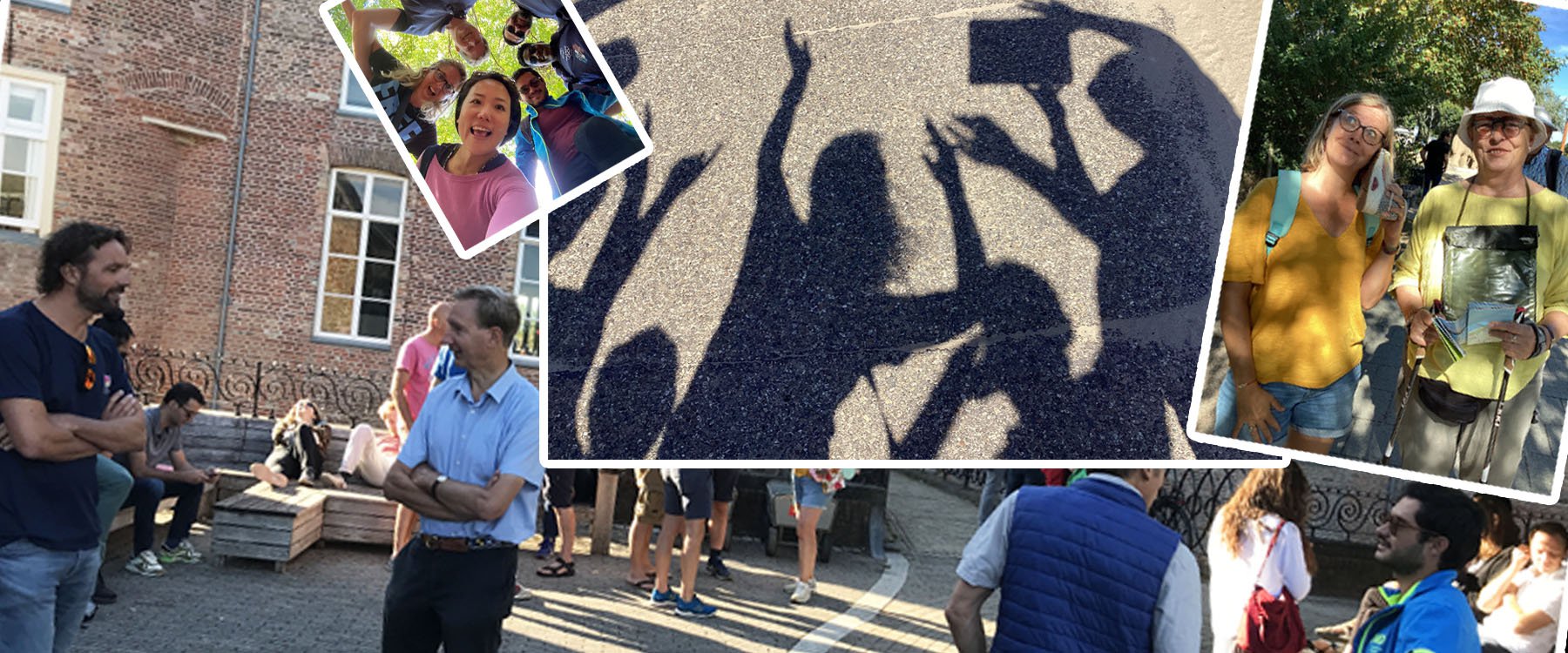 Duindropping Zeeland2.jpg