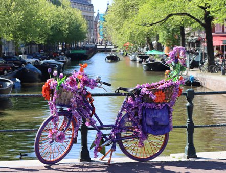 Fietstocht Amsterdam pollaroid 3.jpg