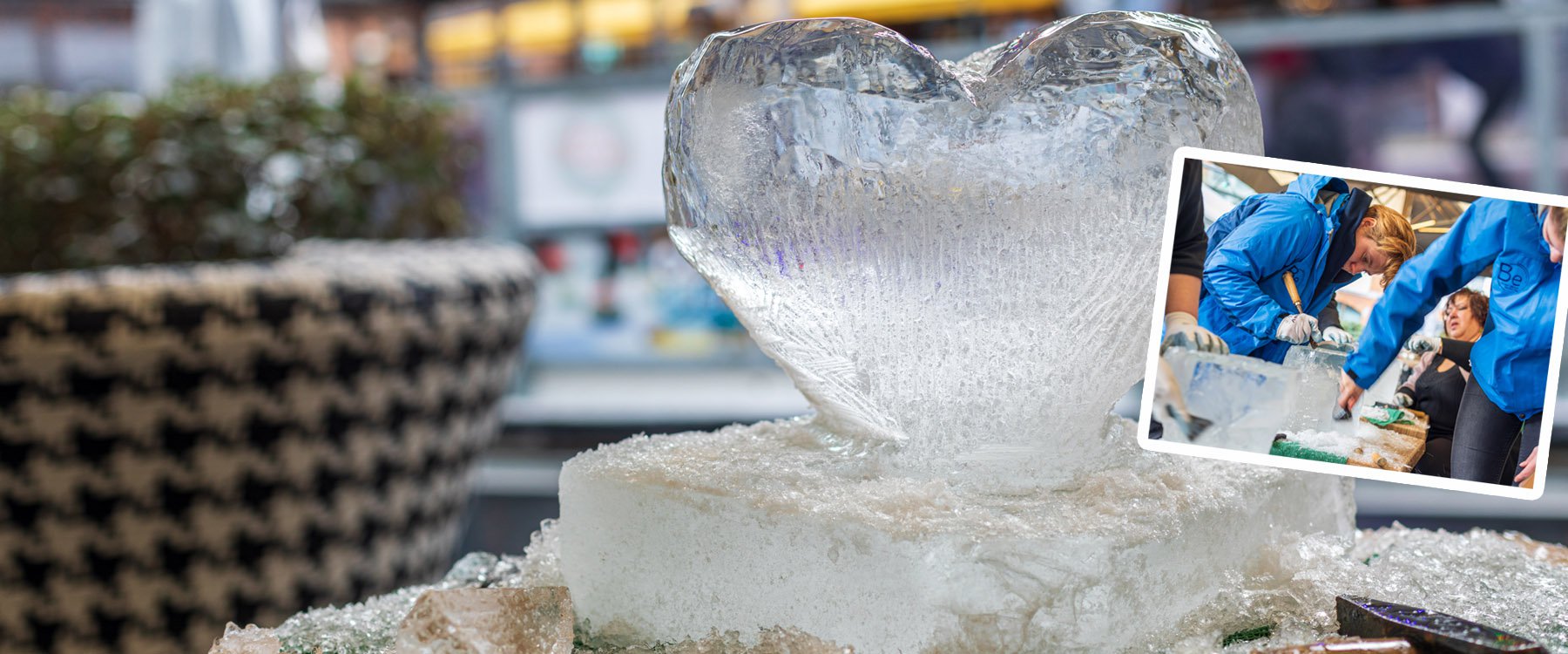 IJssculpturen Den Haag slider 1.jpg