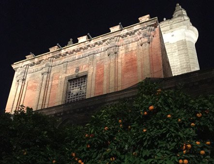 Personeelsreis pollaroid 1.jpg