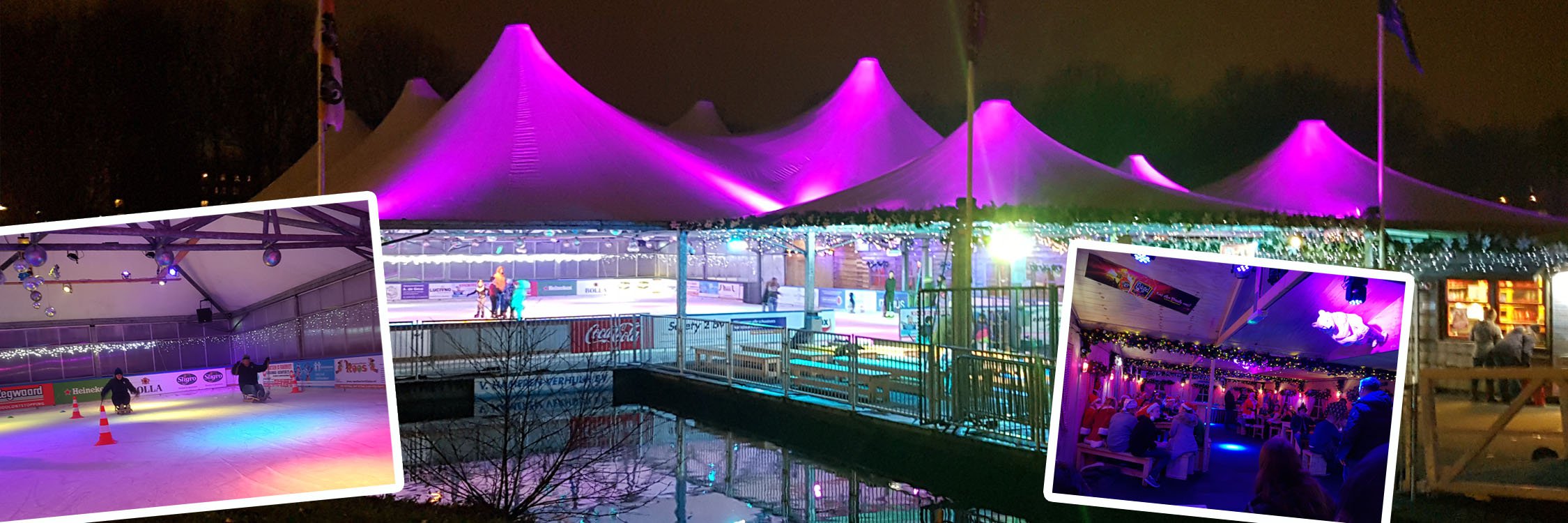 iceparadise location cat 1.jpg